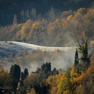 Il paesaggio del lupo