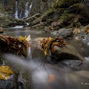 Autunno alle cascate del Dardagna