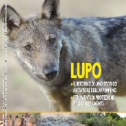 Il Divulgatore della Provincia di Bologna – Speciale Lupo