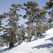 Escursione primaverile a Serra crispo