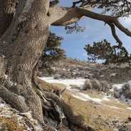 Il parco nazionale del Pollino, come arrivare