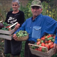 Gente del Pollino