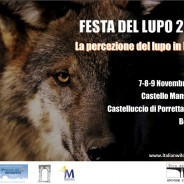 Festa del lupo 2014