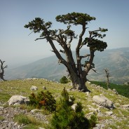 Resoconto campo Pollino, prima parte