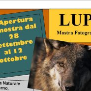Mostra fotografica Lupi Riserva Naturale di Onferno Rimini