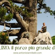 Pollino: il più grande Parco d’Italia