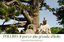 Pollino: il più grande Parco d’Italia