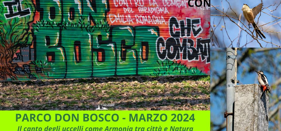 Armonia tra città e Natura al Parco Don Bosco