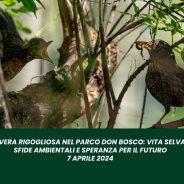 Primavera rigogliosa nel parco Don Bosco: vita selvatica, sfide ambientali e speranza per il futuro