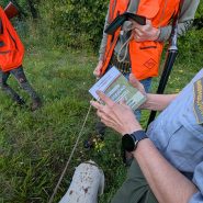 L’importanza della vigilanza venatoria: a difesa del territorio e della legalita’