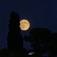La luna del Raccolto al Belpoggio