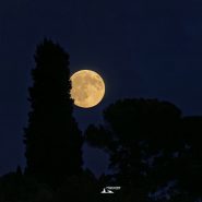 La luna del Raccolto al Belpoggio