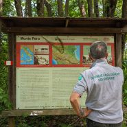 Tra fioriture preziose e memorie della Linea Gotica: una giornata di vigilanza a Monte Pero