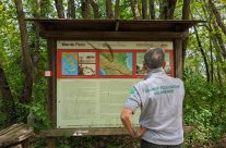 Tra fioriture preziose e memorie della Linea Gotica: una giornata di vigilanza a Monte Pero