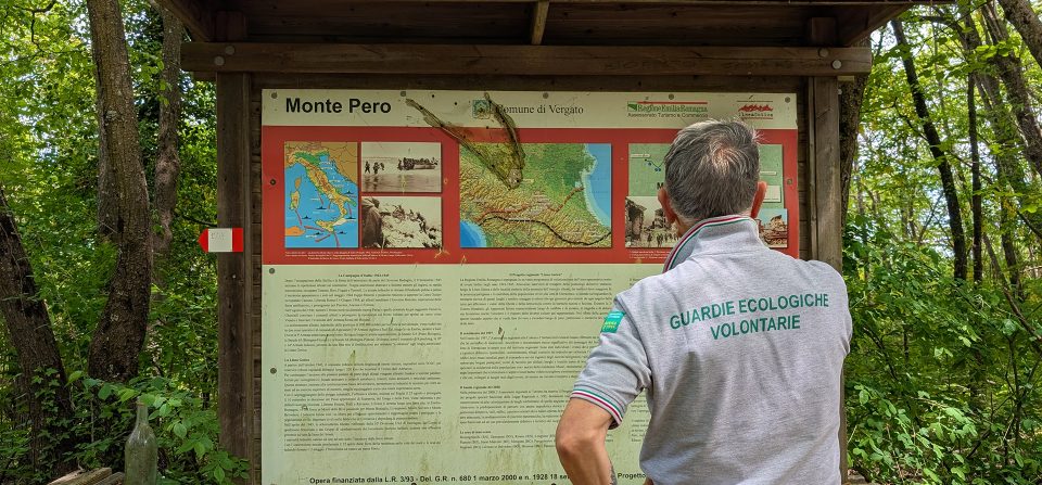 Tra fioriture preziose e memorie della Linea Gotica: una giornata di vigilanza a Monte Pero