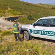 Una mattina tra i mirtilli: la mia esperienza da aspirante Guardia Ecologica Volontaria