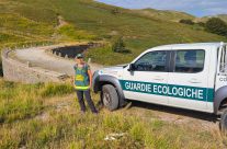 Una mattina tra i mirtilli: la mia esperienza da aspirante Guardia Ecologica Volontaria