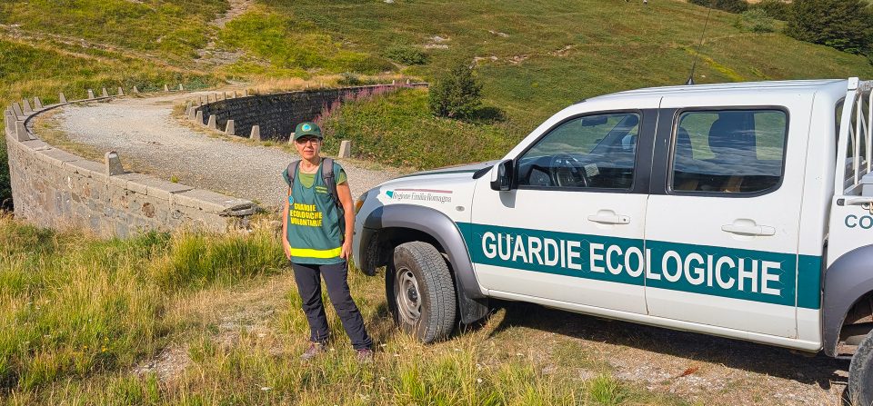 Una mattina tra i mirtilli: la mia esperienza da aspirante Guardia Ecologica Volontaria