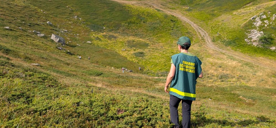 Una mattina tra i mirtilli: la mia esperienza da aspirante Guardia Ecologica Volontaria